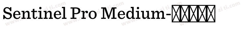 Sentinel Pro Medium字体转换